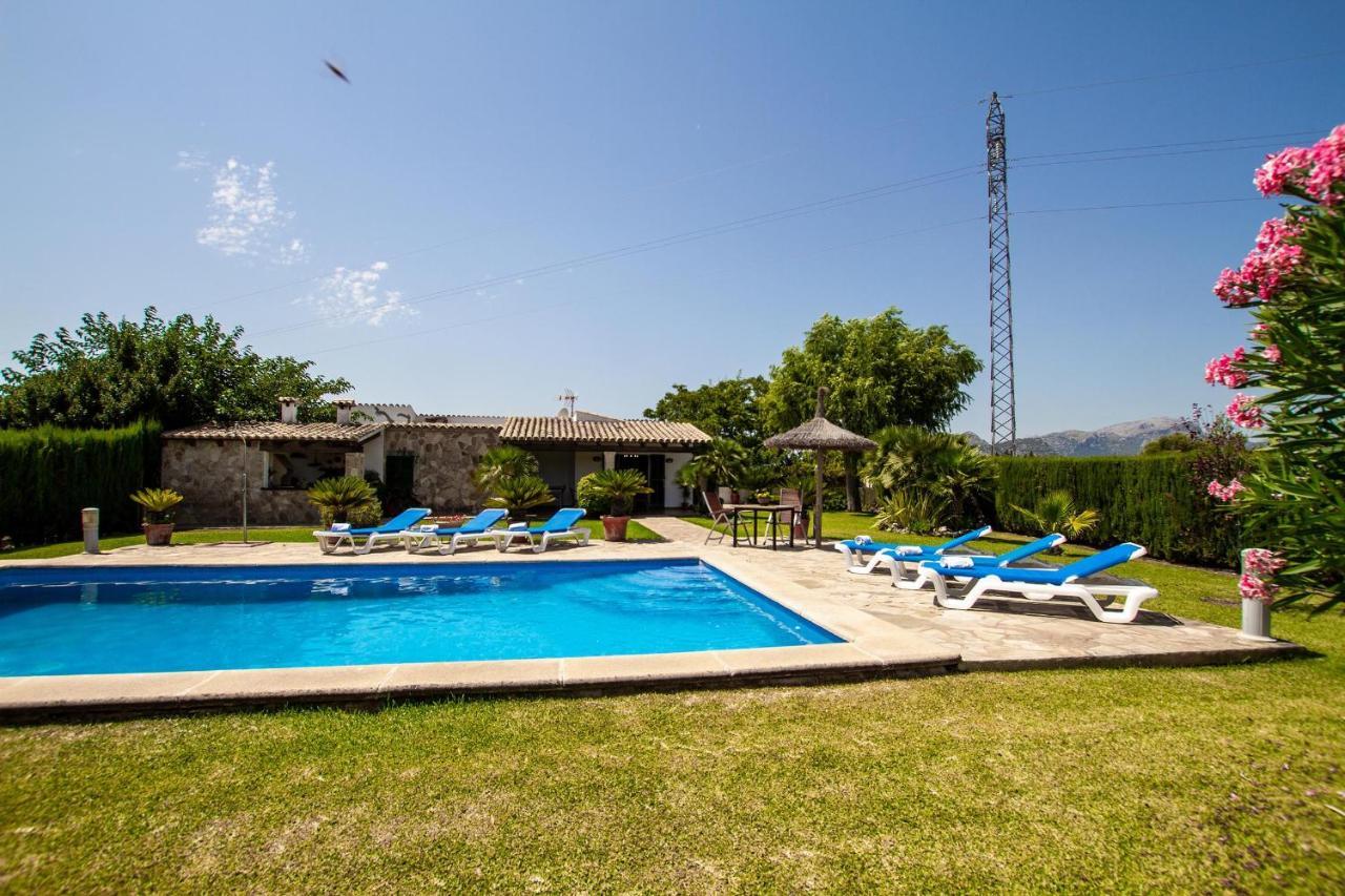 Bosque Villa Pollenca